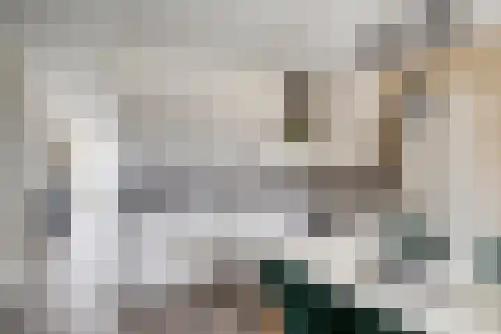 Hooghuisstraat 20 E Oss thumbnail 12