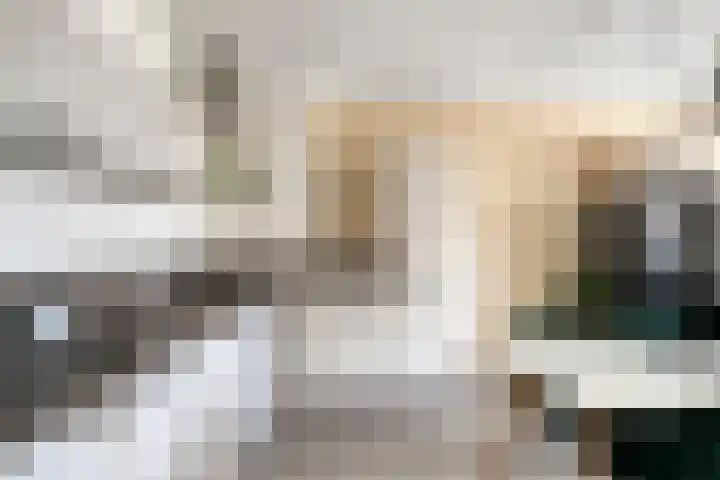 Hooghuisstraat 20 E Oss thumbnail 13
