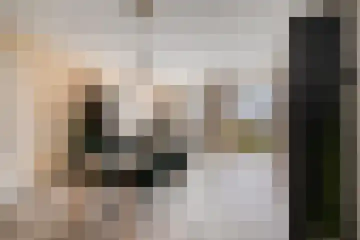 Hooghuisstraat 20 E Oss thumbnail 15