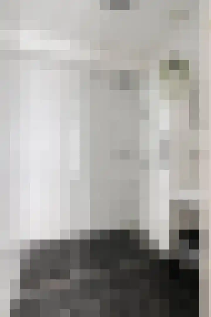 Hooghuisstraat 20 E Oss thumbnail 23