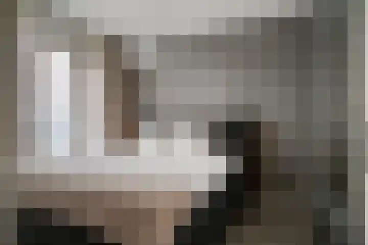Hooghuisstraat 20 E Oss thumbnail 24