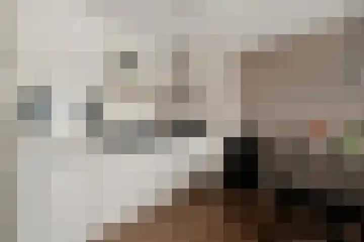 Hooghuisstraat 22 D Oss thumbnail 20