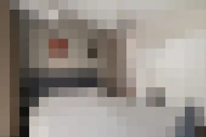 Hooghuisstraat 22 D Oss thumbnail 26