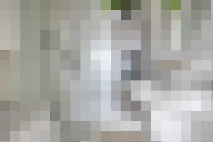 Hooghuisstraat 9 E Oss thumbnail 19