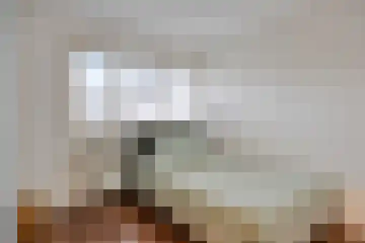 Hooghuisstraat 9 E Oss thumbnail 4