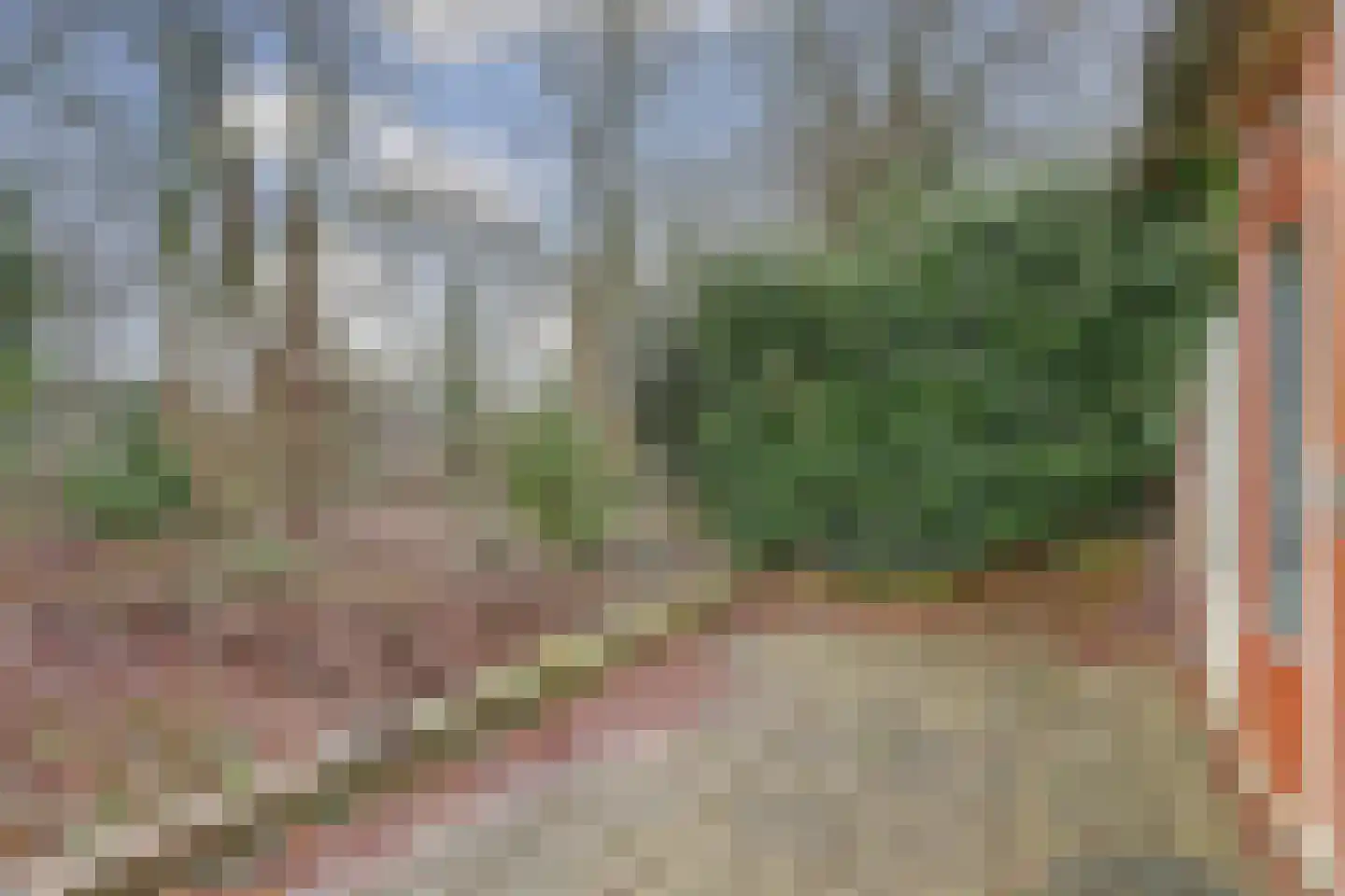 Hoogkamp 65 Eibergen thumbnail 5