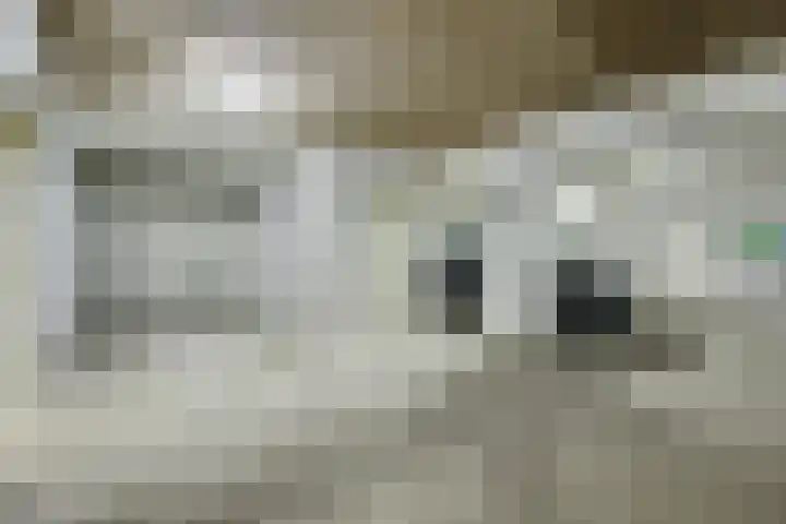 Hoogkamp 75 Eibergen thumbnail 23