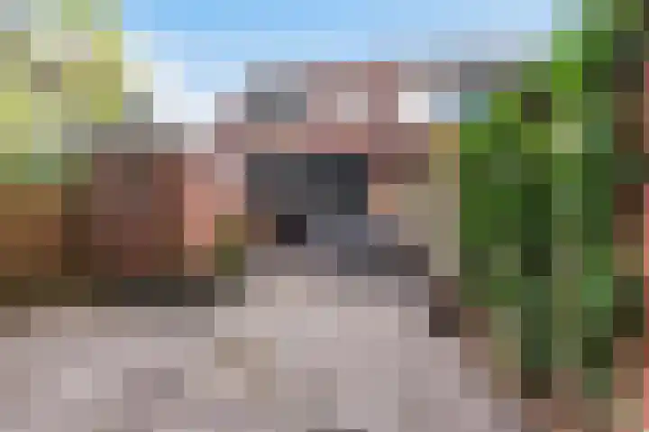 Hoogkamp 99 Eibergen thumbnail 31