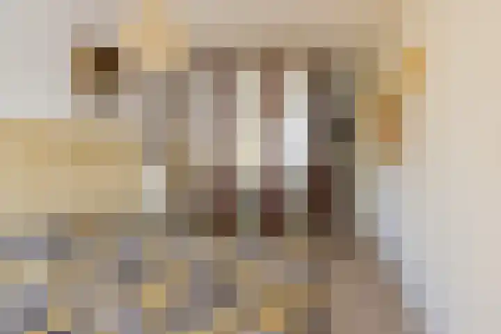 Hoogkamp 99 Eibergen thumbnail 36