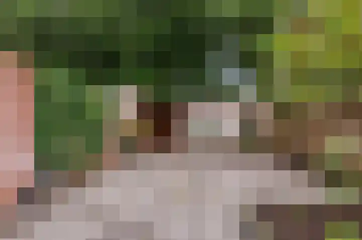 Hoogkamp 99 Eibergen thumbnail 4