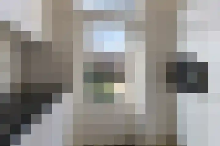 Hoogkar 12 Eersel thumbnail 11