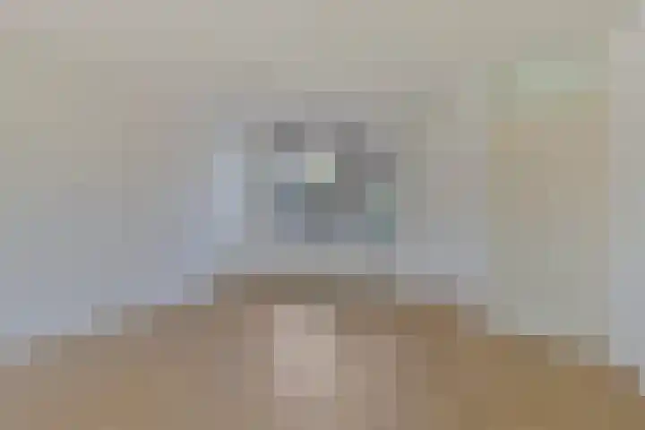 Hoogkar 12 Eersel thumbnail 14