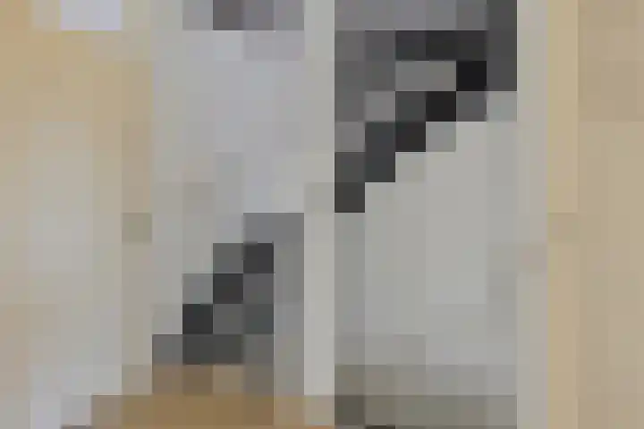 Hoogkar 12 Eersel thumbnail 15