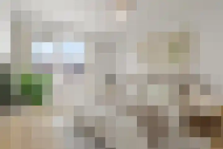 Hoogkar 12 Eersel thumbnail 17