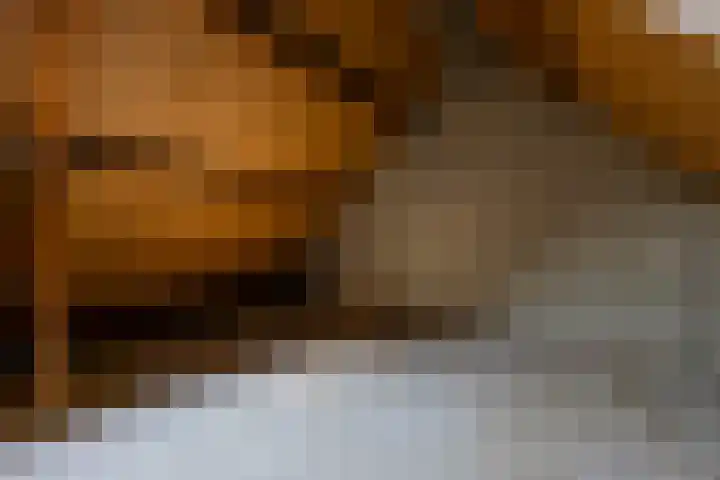 Hoogkar 12 Eersel thumbnail 24