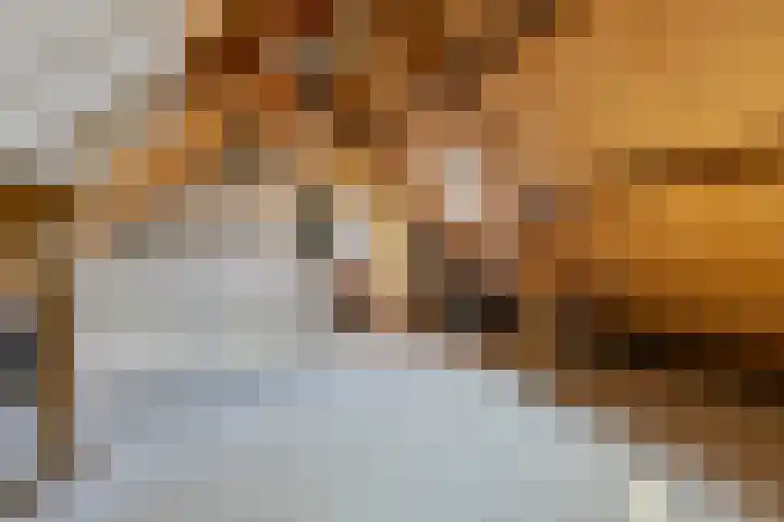 Hoogkar 12 Eersel thumbnail 25