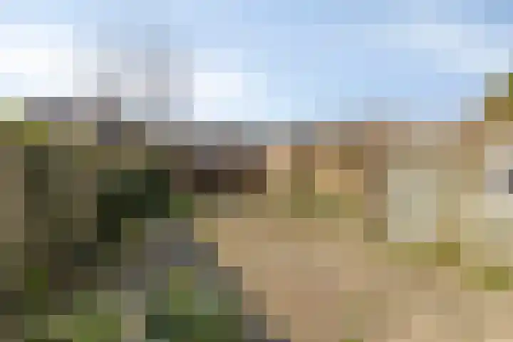 Hoogkar 12 Eersel thumbnail 26