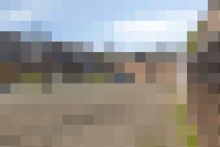 Hoogkar 12 Eersel thumbnail 32