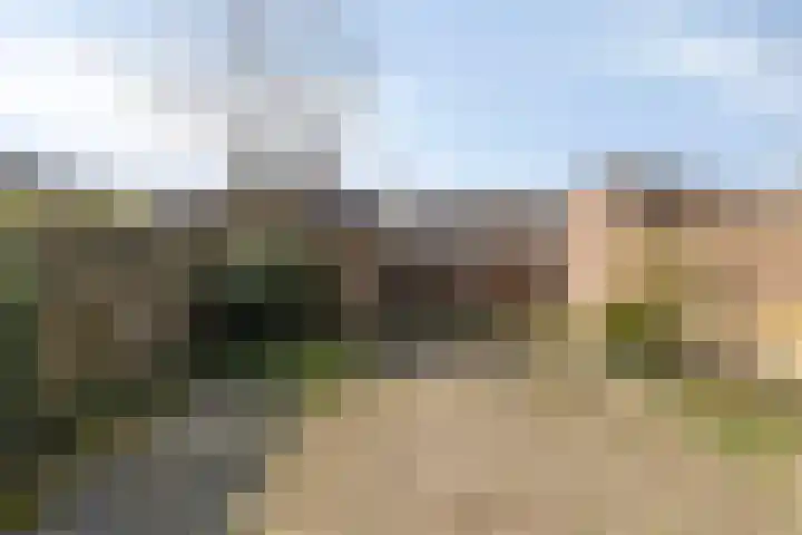 Hoogkar 12 Eersel thumbnail 6