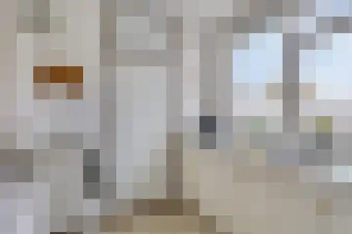 Hoogmeer 1925 Wijchen thumbnail 11