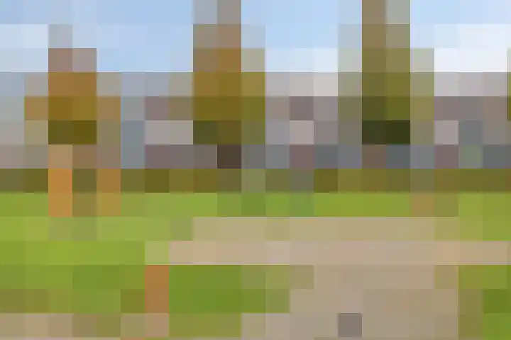Hoogmeer 1925 Wijchen thumbnail 31