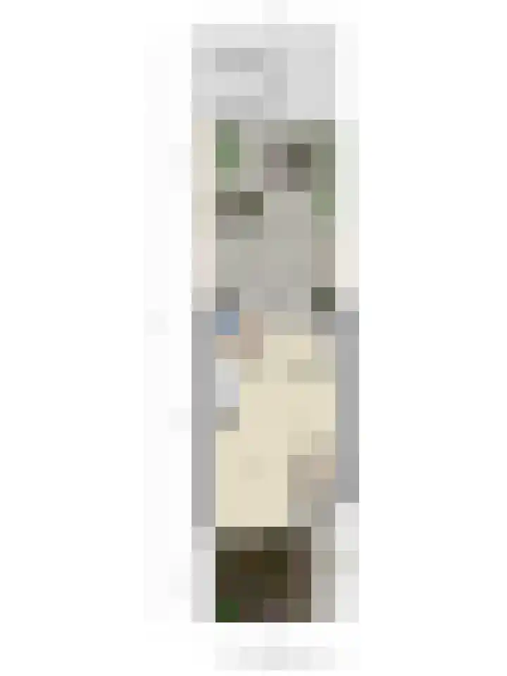 Hoogmeer 1925 Wijchen thumbnail 33