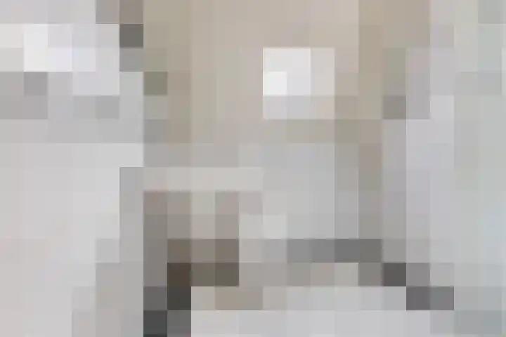 Hoogmeer 2029 Wijchen thumbnail 11