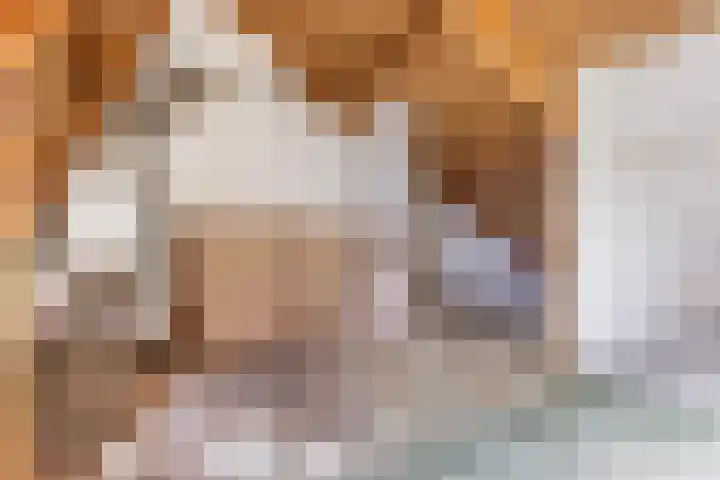 Hoogmeer 2029 Wijchen thumbnail 15