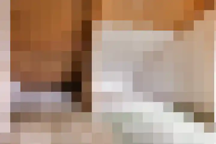 Hoogmeer 2029 Wijchen thumbnail 16