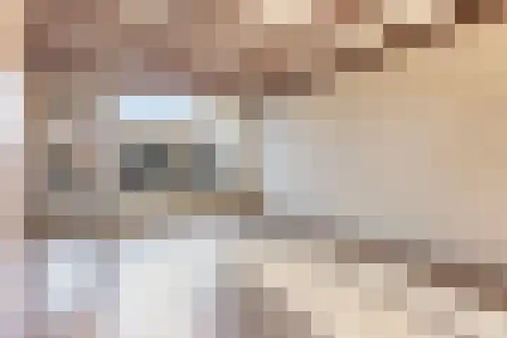Hoogmeer 2029 Wijchen thumbnail 4