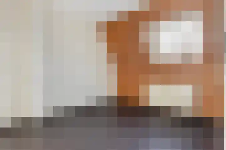 Hoogmeer 2029 Wijchen thumbnail 8