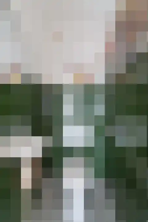Hoogpoort 224 Weert thumbnail 29