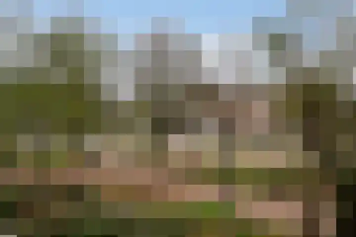 Hoogpoort 6 Weert thumbnail 13