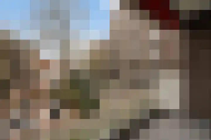 Hoogpoort 6 Weert thumbnail 5