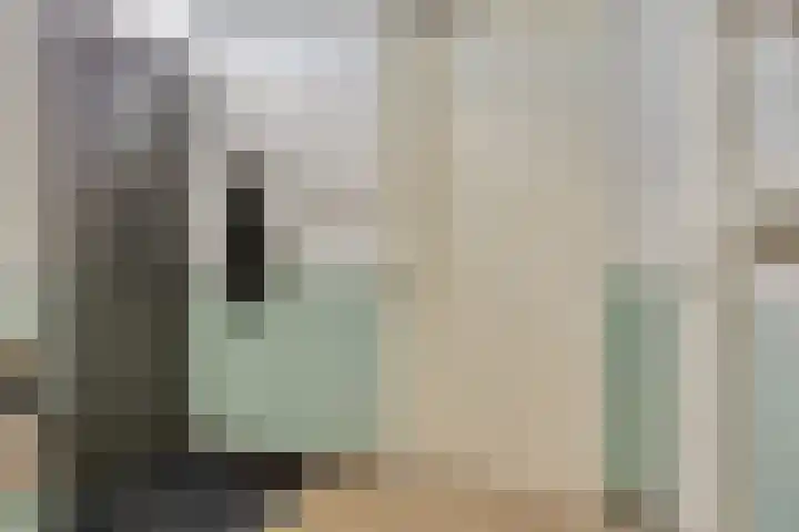 Hoogschoor 15 Goirle thumbnail 12