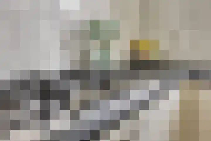 Hoogschoor 15 Goirle thumbnail 17