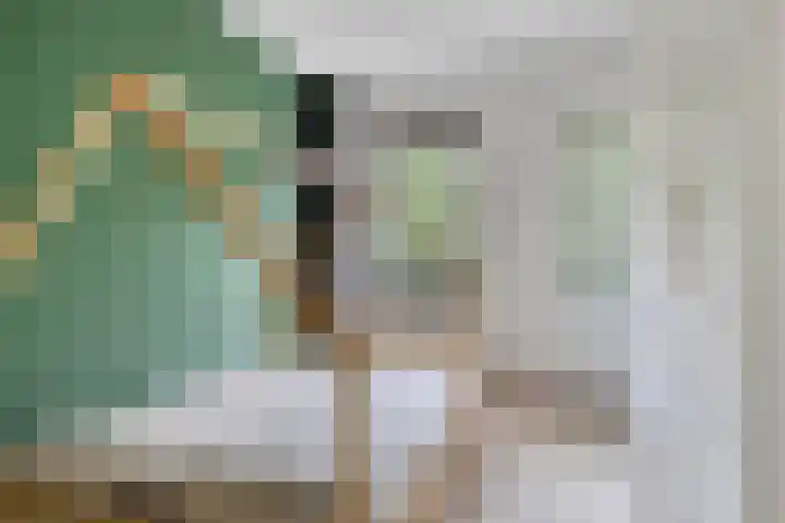 Hoogschoor 15 Goirle thumbnail 24