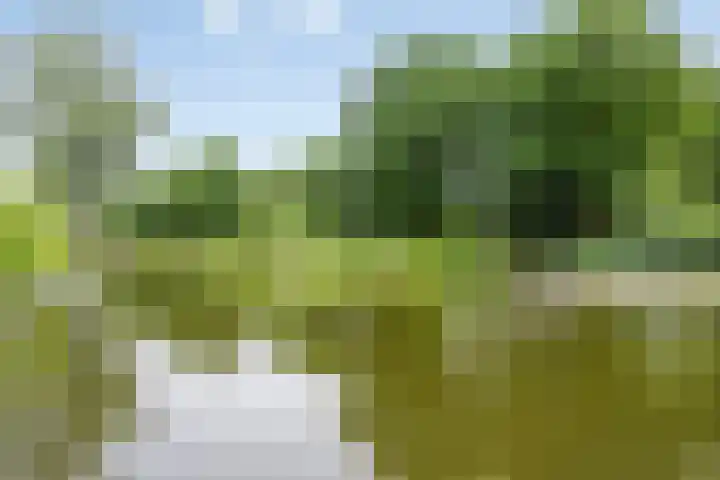 Hoogschoor 15 Goirle thumbnail 35
