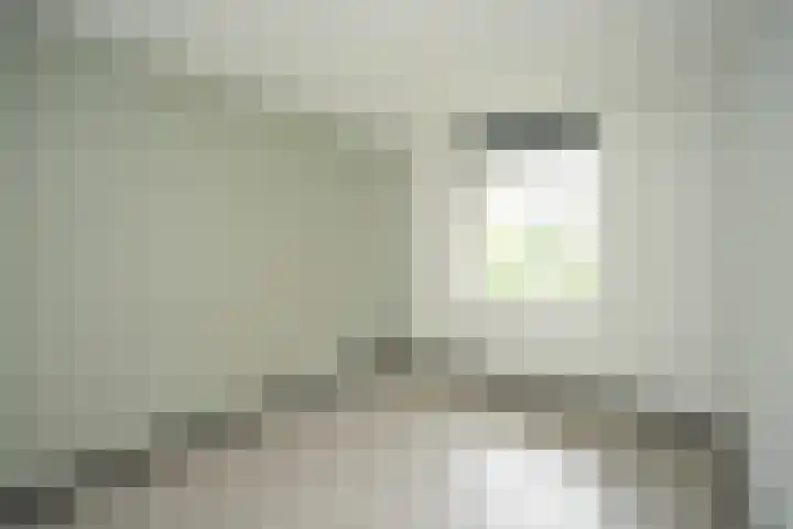 Hoogschoor 15 Goirle thumbnail 7
