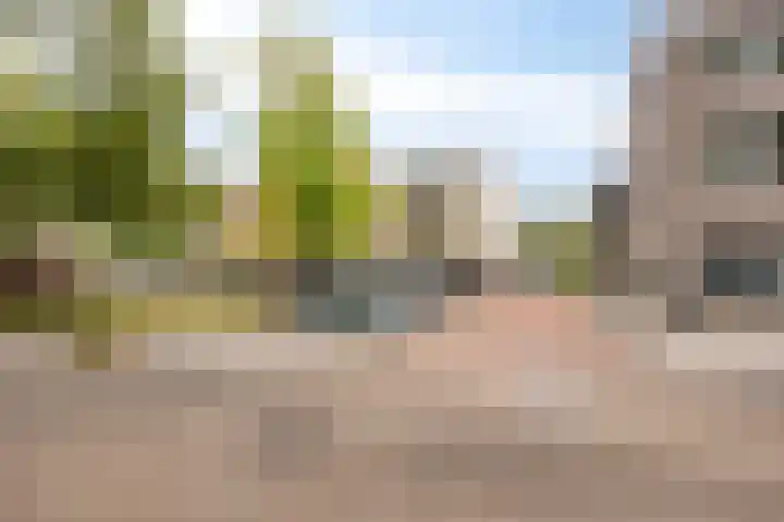 Hoogschoor 15 Goirle thumbnail 9