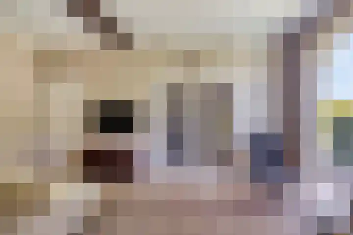 Hoogsestraat 1 Valburg thumbnail 13