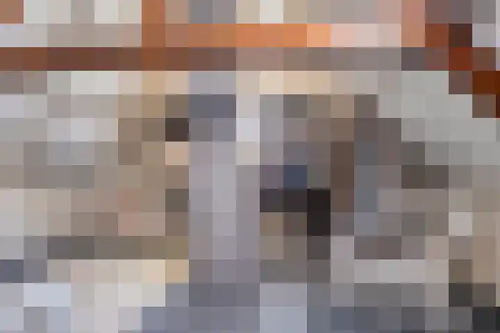 Hoogsestraat 1 Valburg thumbnail 50