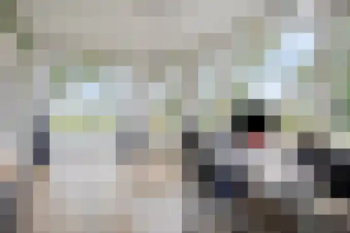 Hoogstraat 1 Maasbommel thumbnail 16