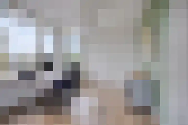 Hoogstraat 1 Maasbommel thumbnail 17