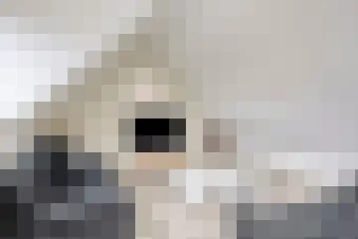 Hoogstraat 1 Maasbommel thumbnail 34