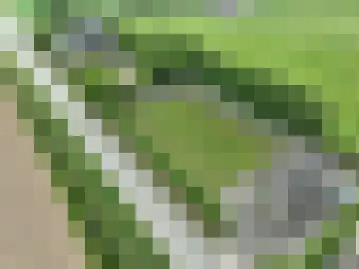 Hoogstraat 1 Maasbommel thumbnail 5