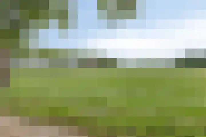 Hoogstraat 1 Maasbommel thumbnail 65