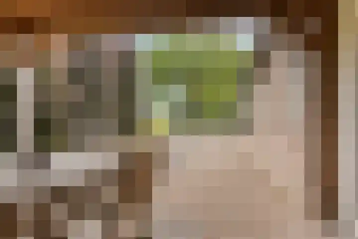 Hoogstraat 1 Maasbommel thumbnail 67
