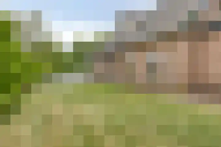 Hoogstraat 1 Maasbommel thumbnail 69