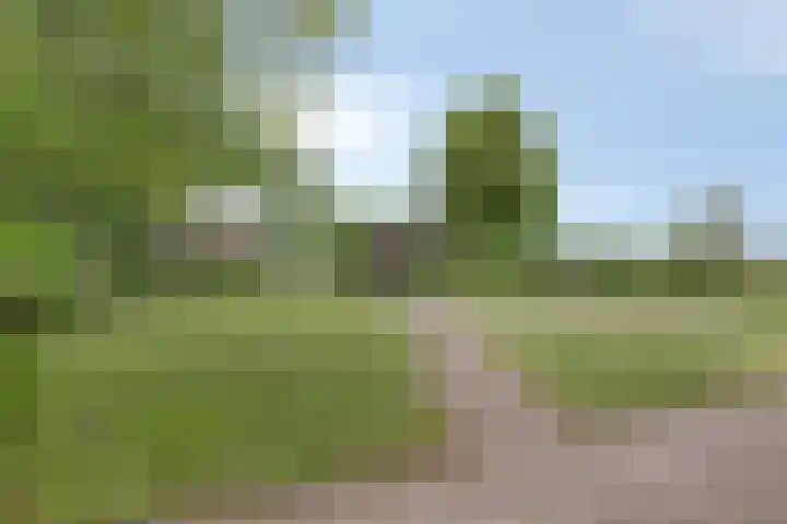 Hoogstraat 1 Maasbommel thumbnail 73